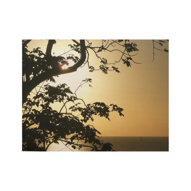 Sunset Through Trees II Tropical Photography Wood Poster (Front)