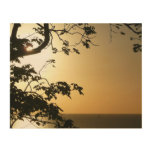 Sunset Through Trees II Tropical Photography Wood Wall Art