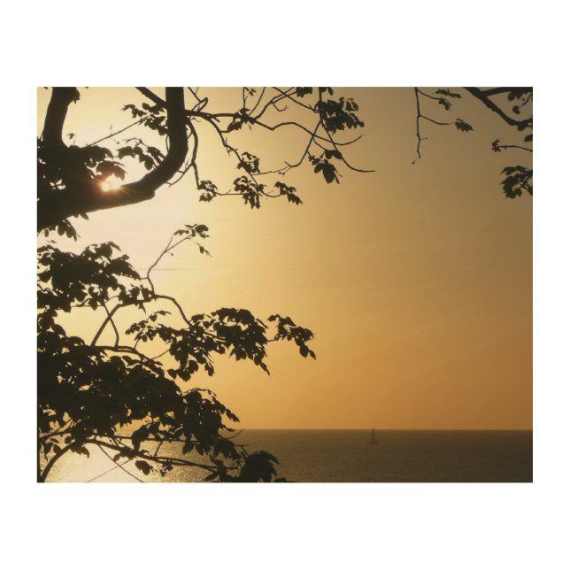 Sunset Through Trees II Tropical Photography Wood Wall Art (Front)