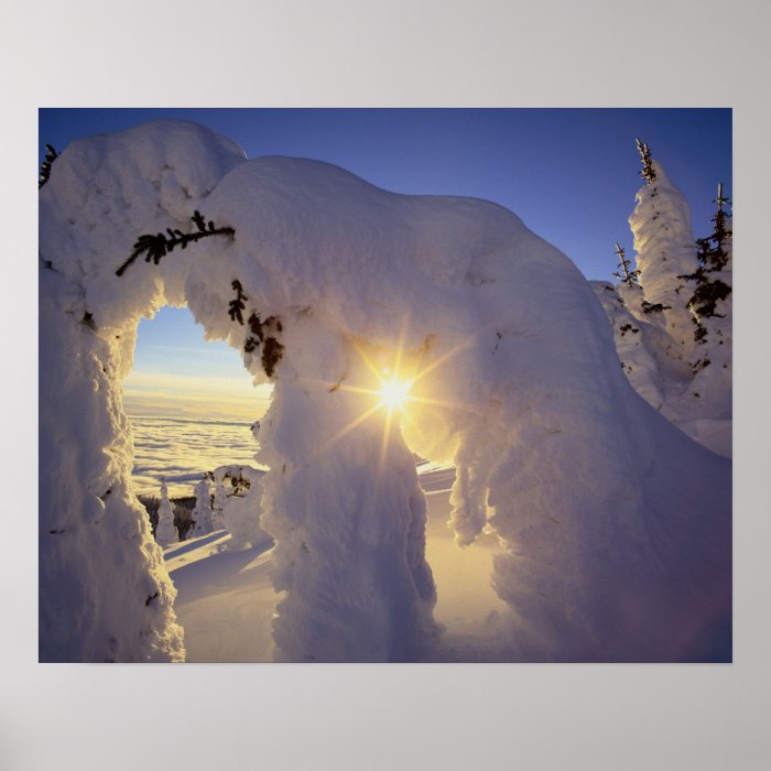 Sunset thru the Snowghosts at Big Mountain near Print