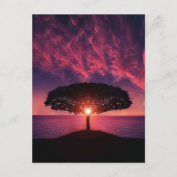 Sunset Tree Postcard by Wonderful12345 at Zazzle