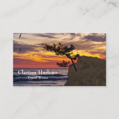 Sunset Tree Travel Writer Blogger Magazine Business Card