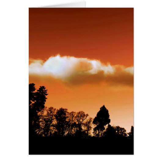 Sunset trees cards (Front)