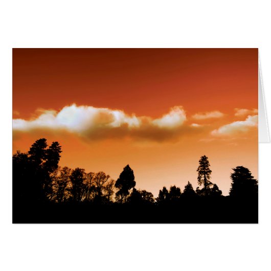 Sunset trees cards (Front Horizontal)