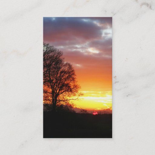 Customizable Sunset Trees in Nature Business Cards