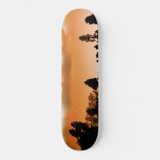 Sunset trees skateboard (Front)