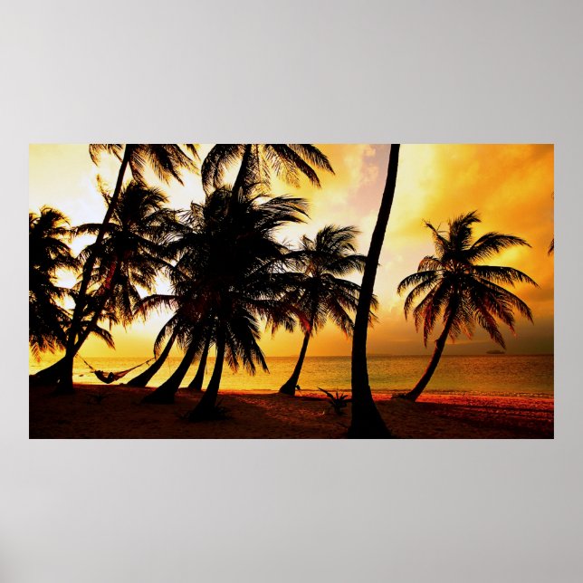 Sunset Tropical Poster (Front)