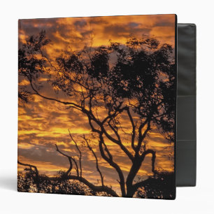 Sunset, Uluru-Kata Tjuta National Park, 3 Ring Binder