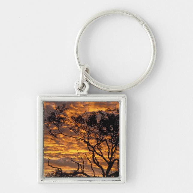 Sunset, Uluru-Kata Tjuta National Park, Keychain (Front)