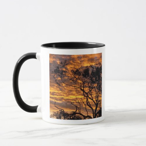 Sunset Uluru_Kata Tjuta National Park Mug