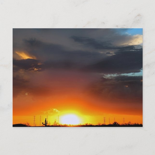 Sunset under the storm. postcard (Front)