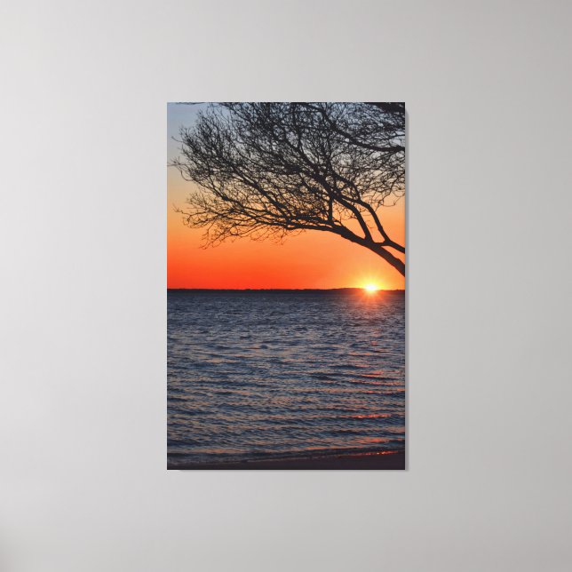 Sunset Under Tree Wrapped Canvas Print (Front)