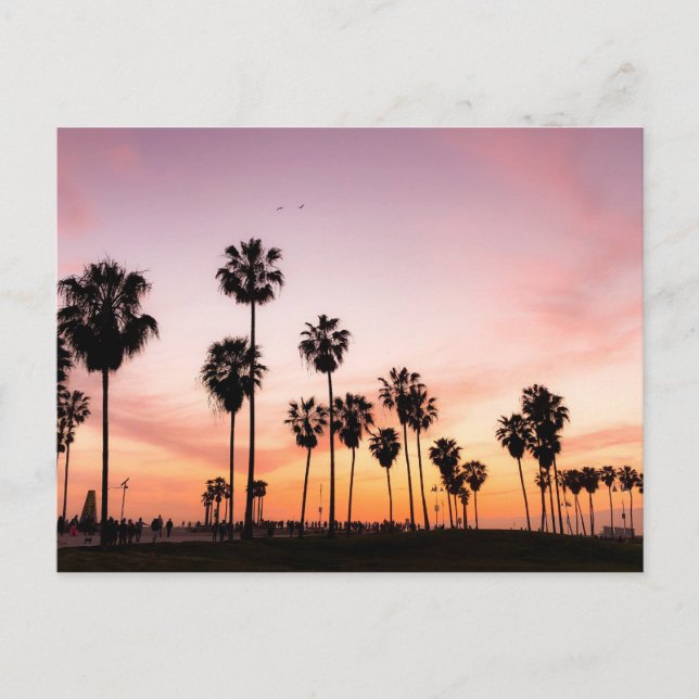 Sunset (Venice Beach, CA) Postcard (Front)