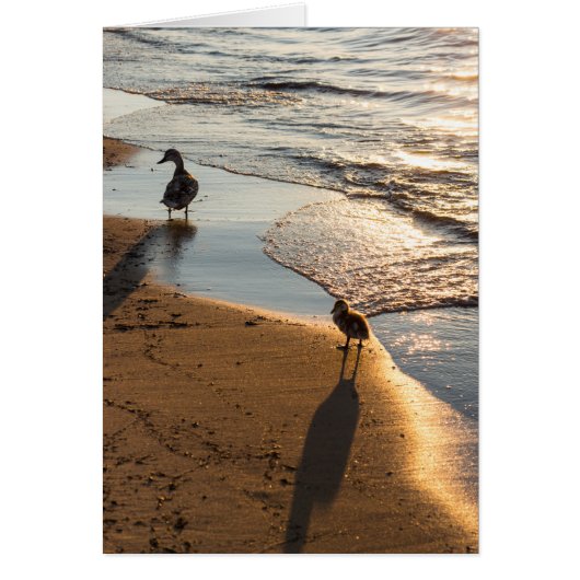 Sunset Walk With Mommy Cards (Front)