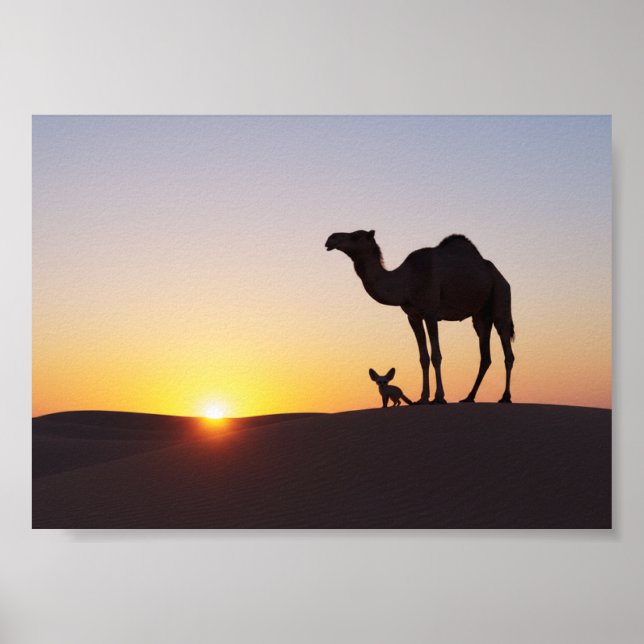 Sunset with Camel and Fennec Fox Poster (Front)