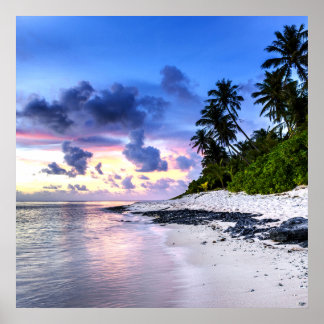 Sunset with Palm Trees and rocky beach Poster
