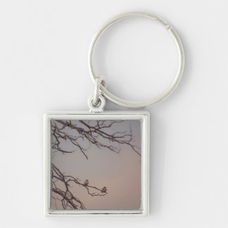 Sunset with the Shrikes Keychain