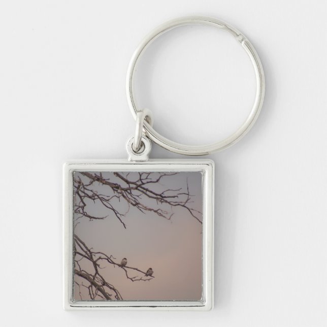Sunset with the Shrikes Keychain (Front)