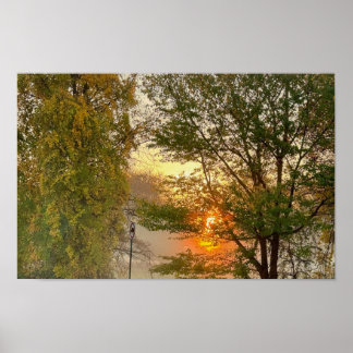 Sunset with Trees Poster