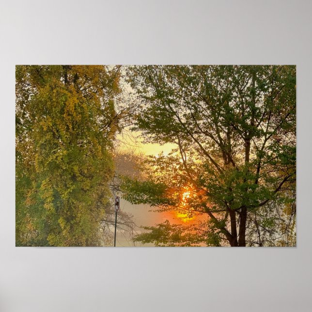 Sunset with Trees Poster (Front)