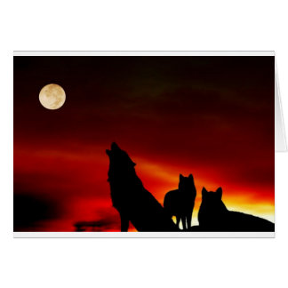 Sunset Wolves Cards