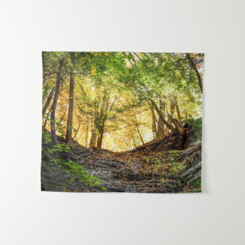 Sunset Woods Forest Trees Nature Small Tapestry