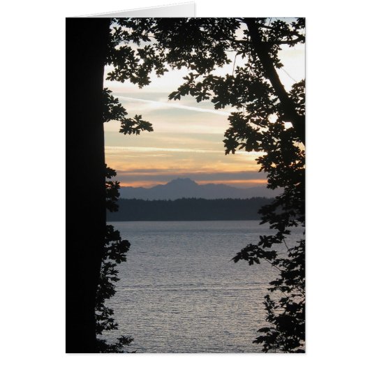 Sunsetframed Cards (Front)