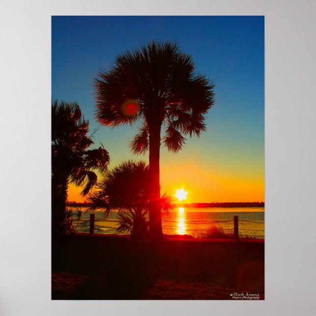 Sunsets & Palm Trees Poster (Front)
