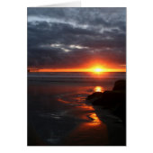 Sunsetting.... (Front)