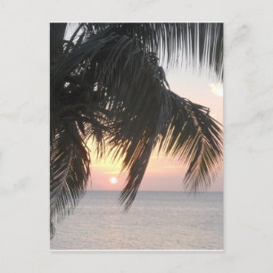 Sunsetting Doctor's Cave, Montego Bay, Jamaica Postcard