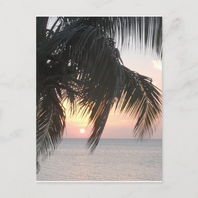 Sunsetting Doctor's Cave, Montego Bay, Jamaica Postcard (Front)