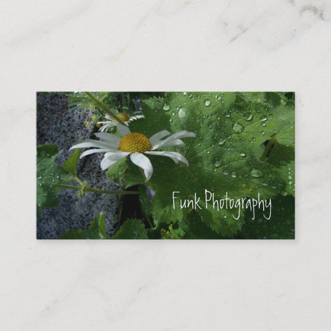 Sunshine After the Rain Business Card (Front)