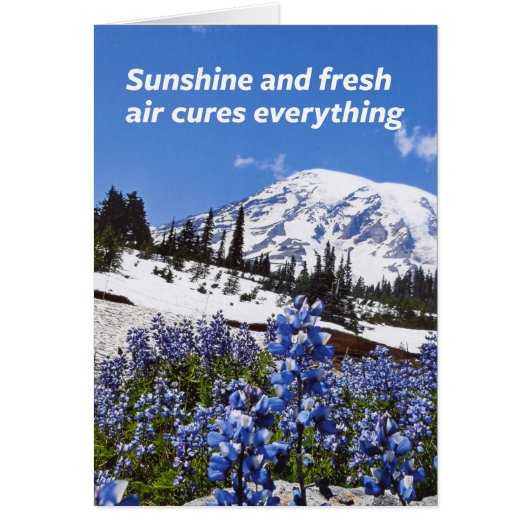 Sunshine and Fresh Air Cards (Front)