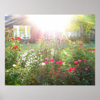 SUNSHINE AND ROSES poster