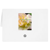 Sunshine and Shadows Card (Back Horizontal)