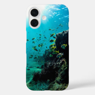 Sunshine and Tropical Fish iPhone 16 Case