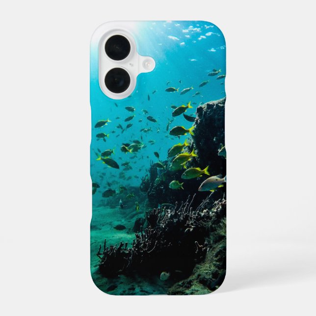 Sunshine and Tropical Fish Iphone Case (Back)