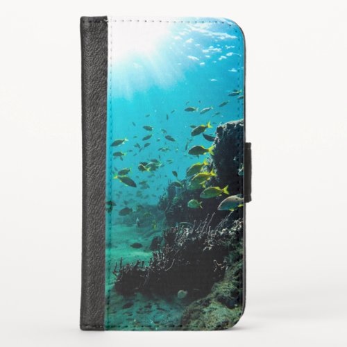 Sunshine and Tropical Fish iPhone X Wallet Case