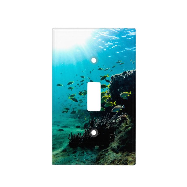 Sunshine and Tropical Fish Light Switch Cover (Front)