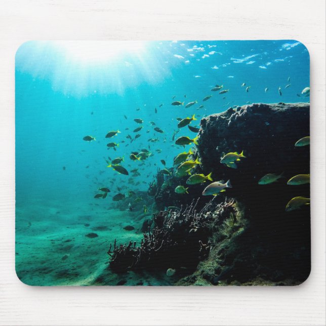 Sunshine and Tropical Fish Mouse Pad (Front)
