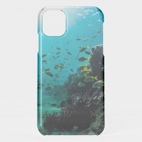 Sunshine and Tropical Fish  iPhone 11 Case