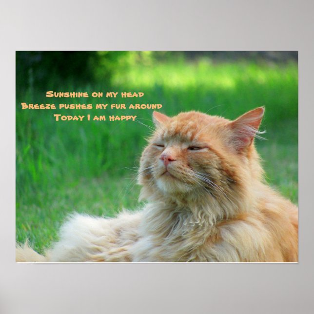 Sunshine Breeze Happy Cat Haiku Poster (Front)