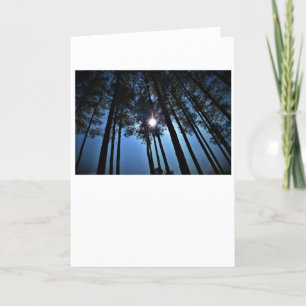 Sunshine, card