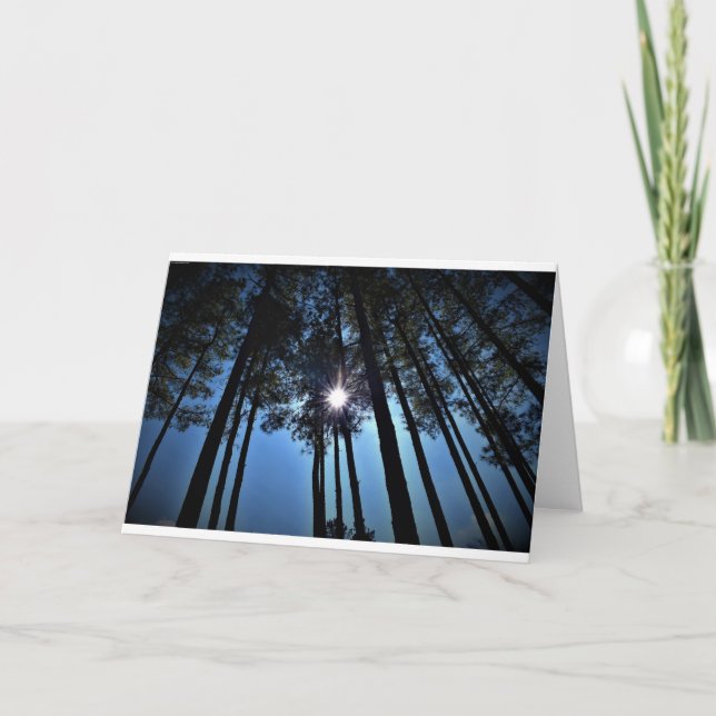 Sunshine, card (Front)