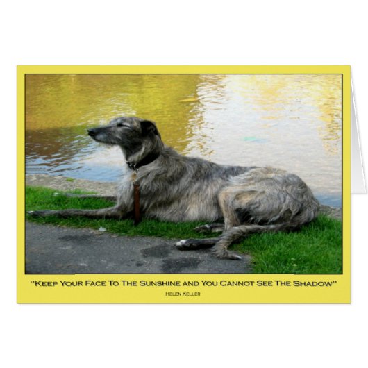 Sunshine, card, blank inside cards (Front Horizontal)