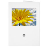 Sunshine Cards (Back)