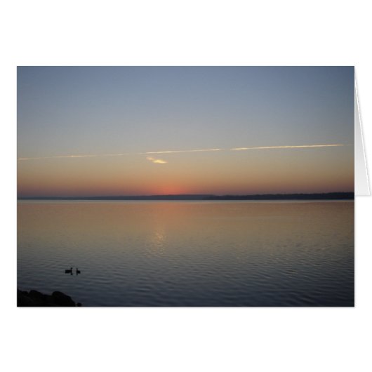 Sunshine Cards (Front Horizontal)