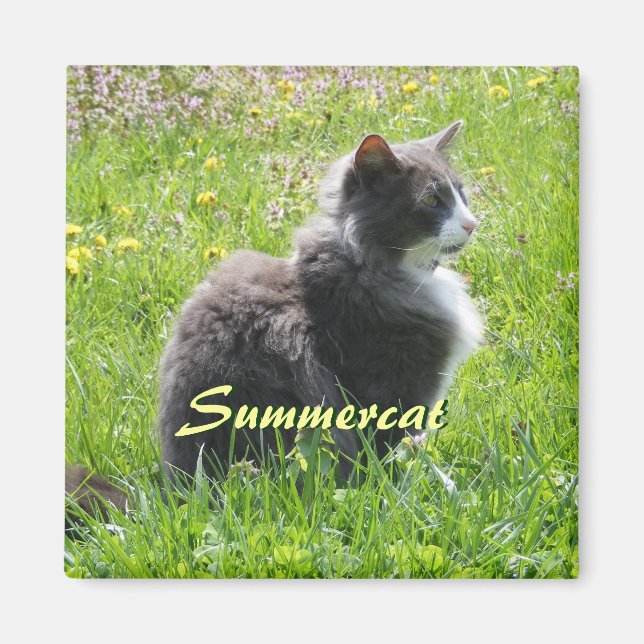 Sunshine Cat Magnet (Front)