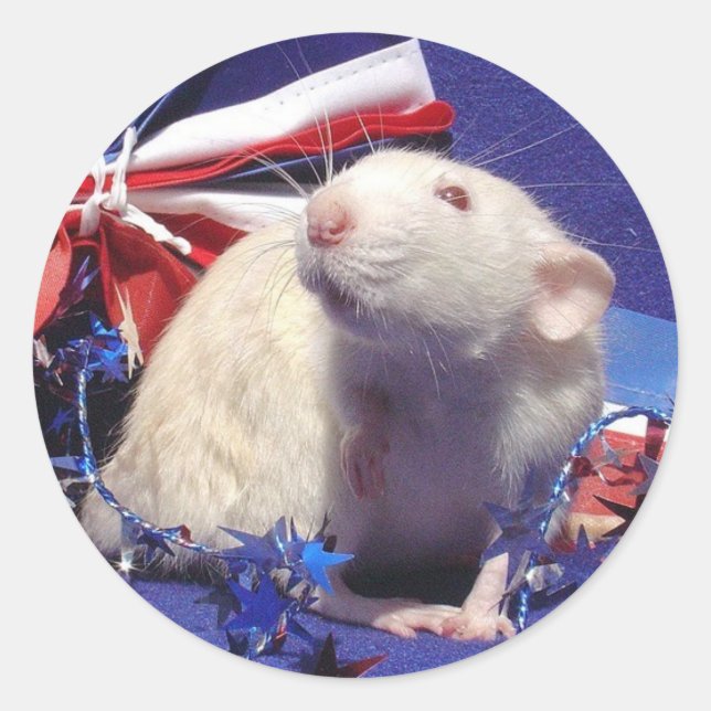 sunshine classic round sticker (Front)