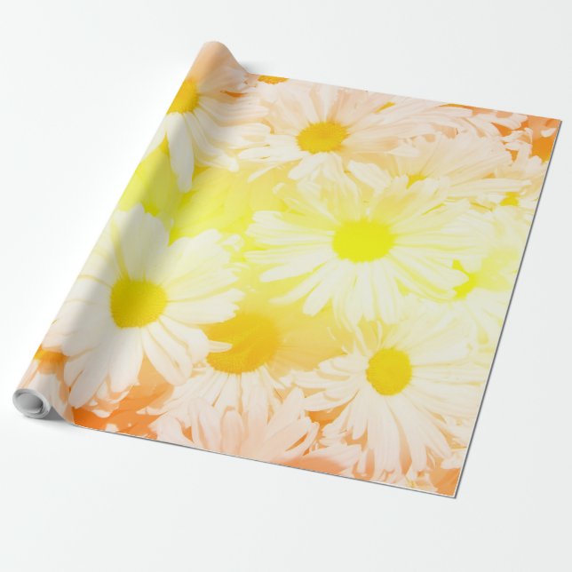 Sunshine Daisies Wrapping Paper (Unrolled)